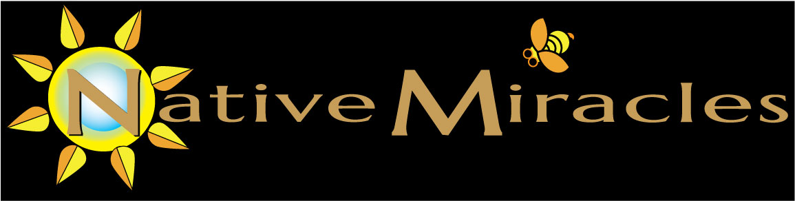 091426-NM-logo